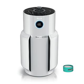 A white cylindrical air purifier with a black filter top and a small round digital screen on the front. 