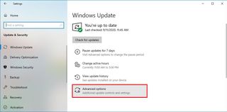 Windows Update advanced options