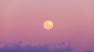 Beautiful pink and purple full moon rise at sunset - stock photo