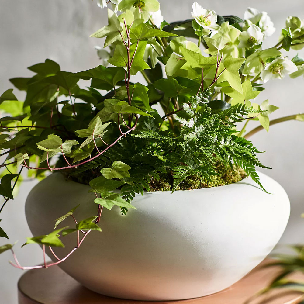 Anthropologie planter