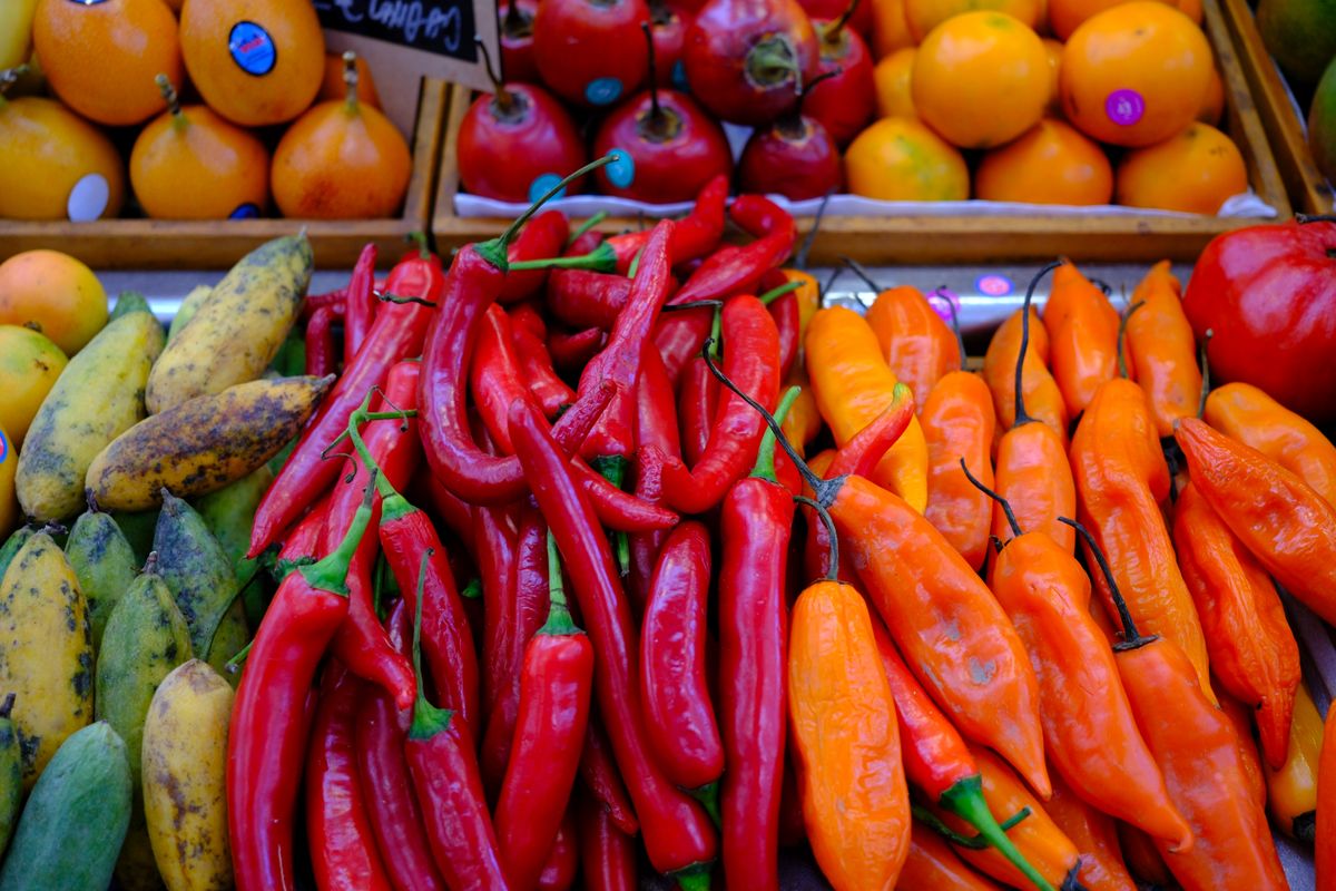 Images taken using the Fujifilm X-E5