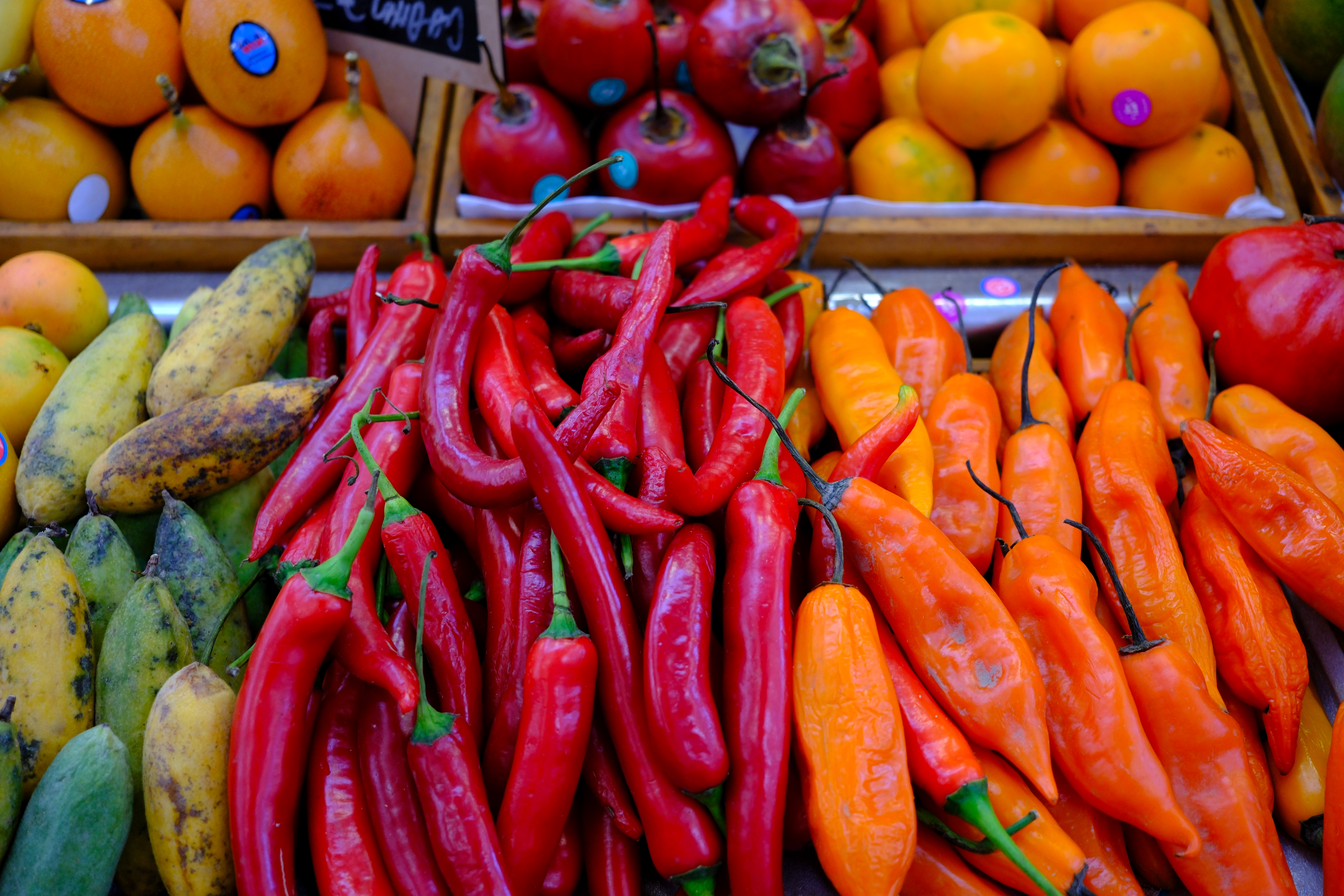 Images taken using the Fujifilm X-E5