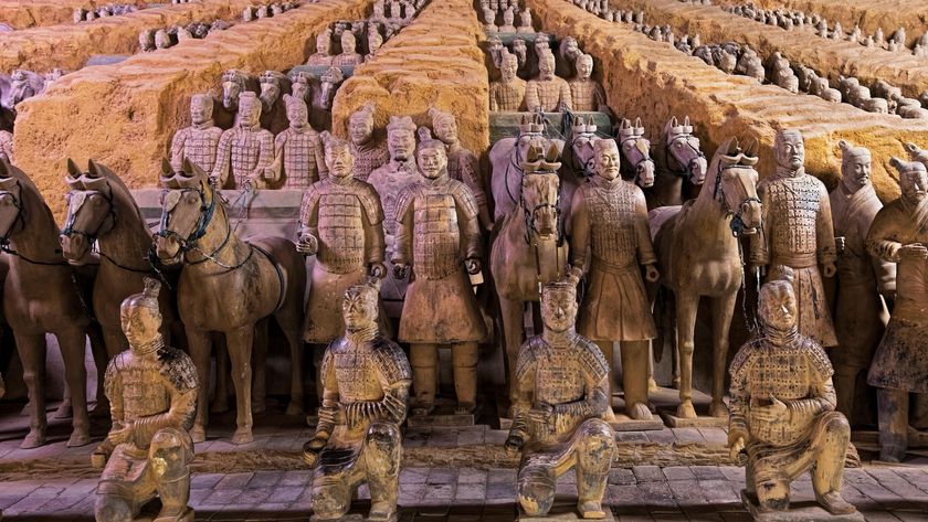 a photo of many terracotta warriors lined up