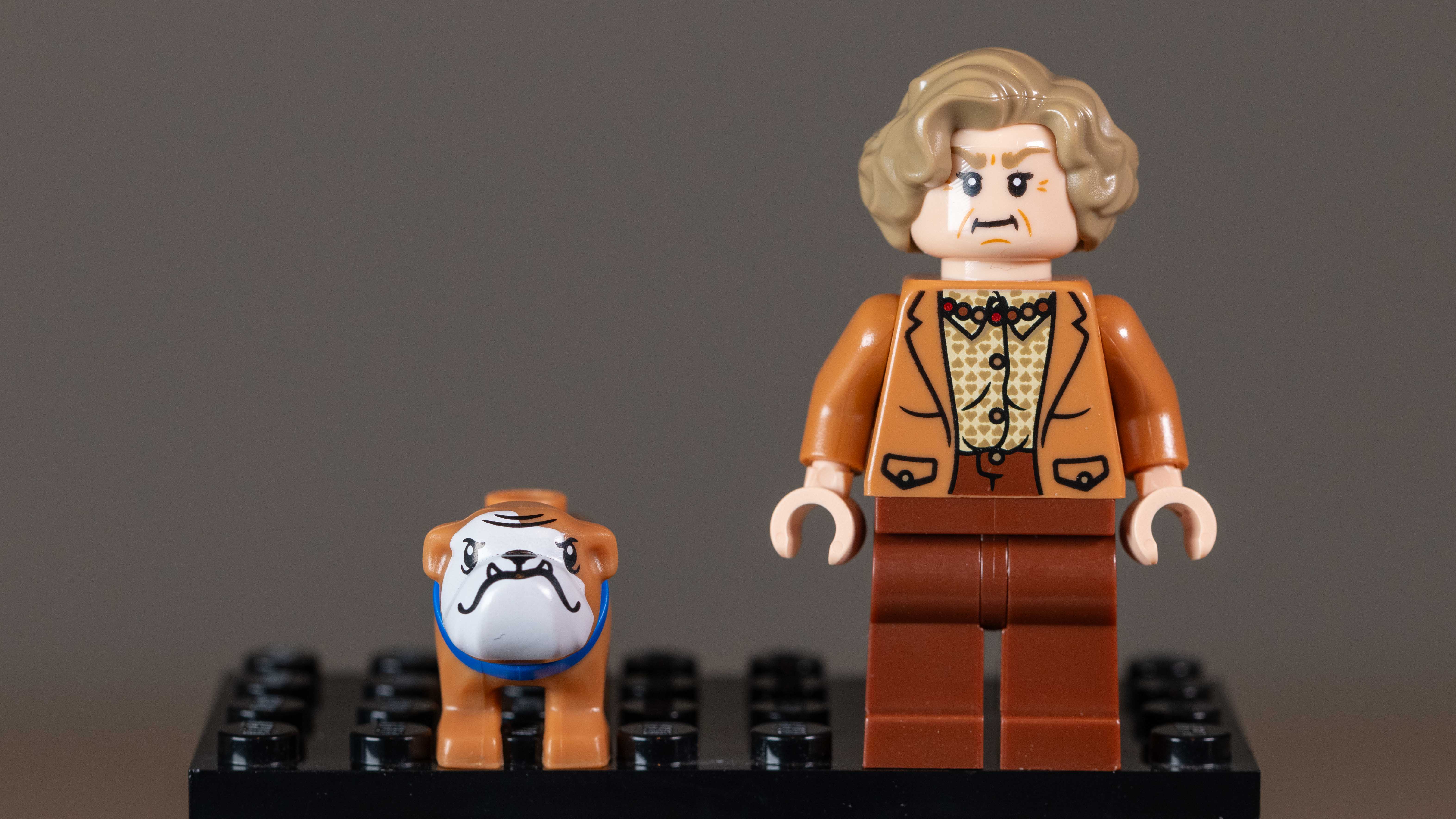 Lego Privet Drive: Aunt Marge's Visit (76451) Marge Dursley Minifigure and bulldog, Ripper