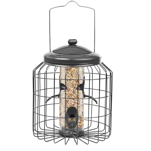 Crystals Squirrel Proof Hanging Bird Feeder for Small Birds – Heavy Duty Garden Peanut & Fat Ball Feeders – Wild Bird Feeders for Outdoor Use (seed Feeder)