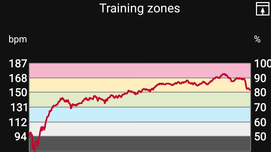 Heart rate graph cropped screenshot
