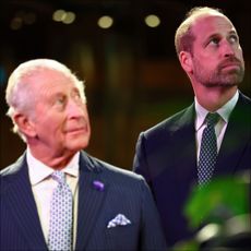 King Charles and Prince William both wear suits and spotted ties and look to the sky