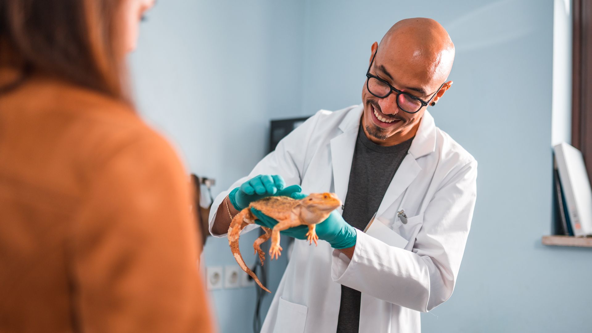 shot of vet holding bearded dragon over owners shoulder