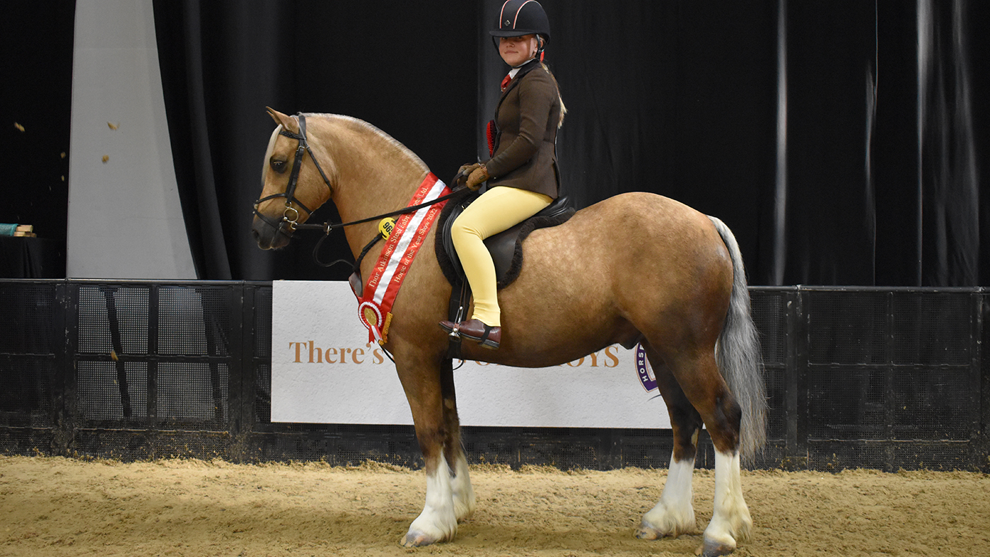 HOYS 133cm M&amp;amp;M working hunter