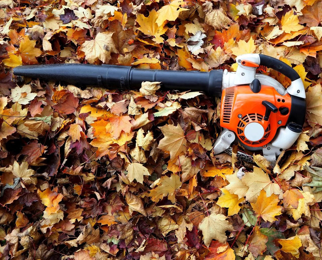 Leaf Blower On A Pile Of Leaves