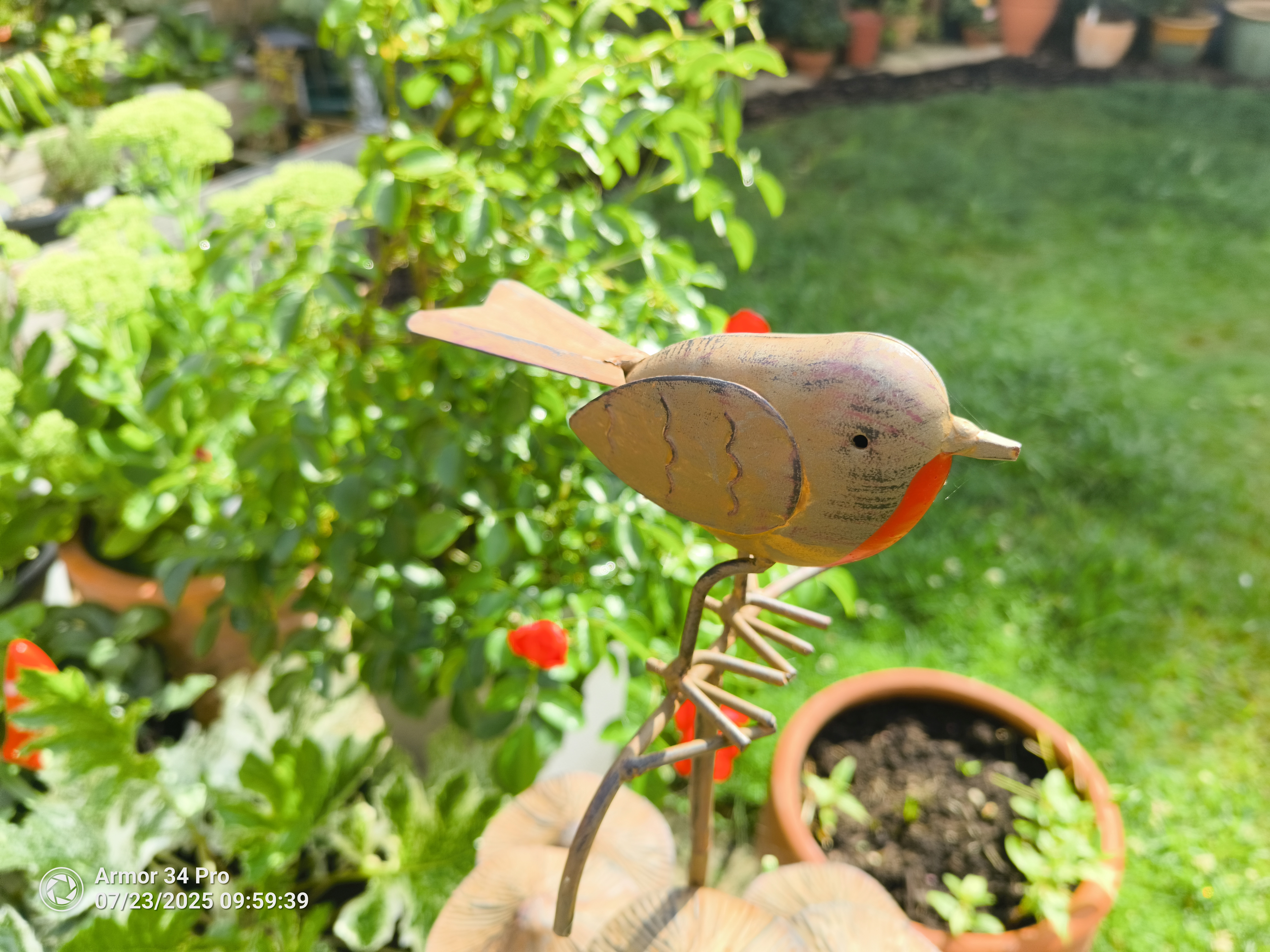 Examples taken with the Ulefone Armor 34 Pro
