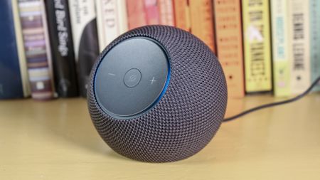 Echo Dot Max on a book shelf