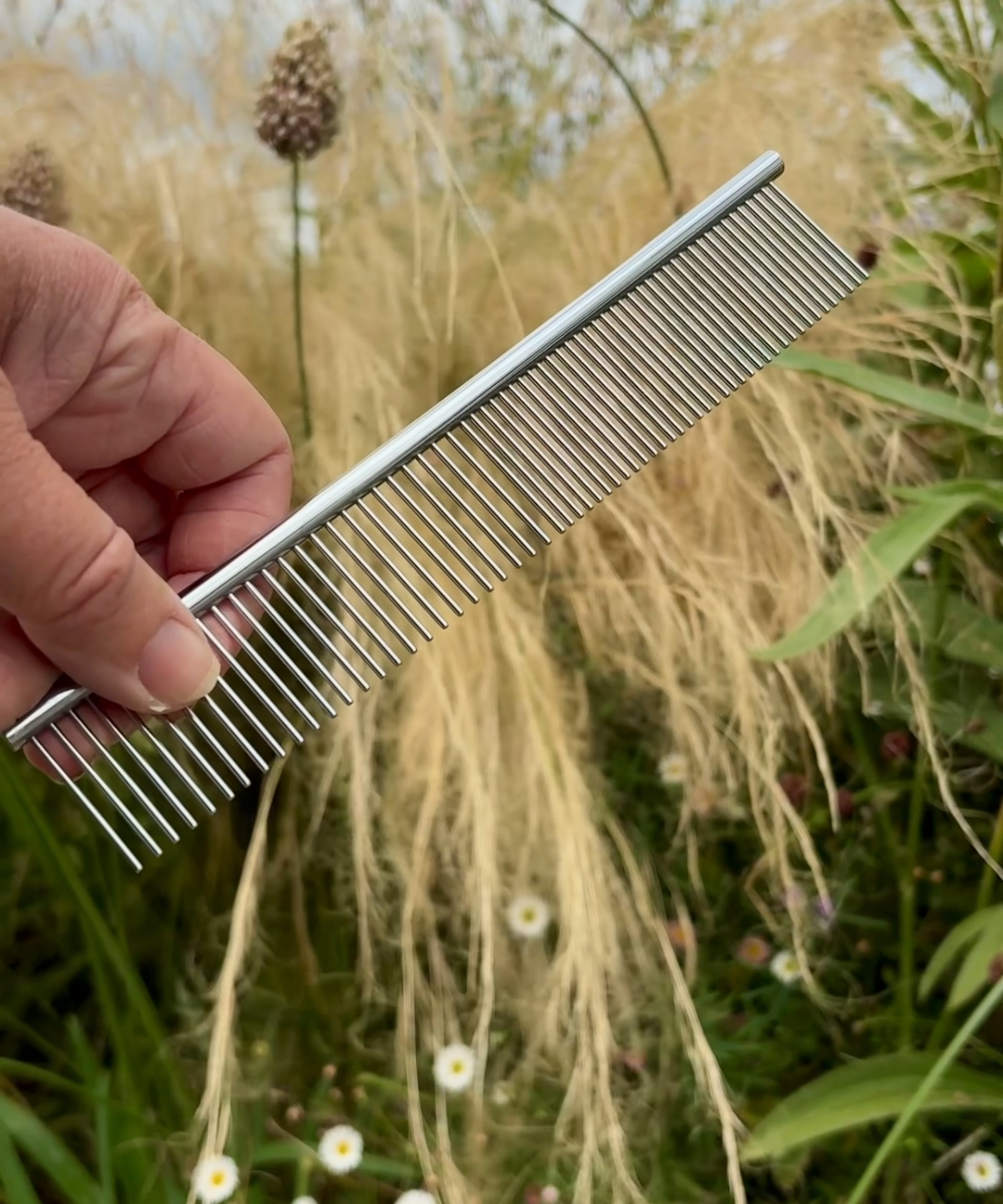 dog comb used to care for ornamental grasses and reduce weeding