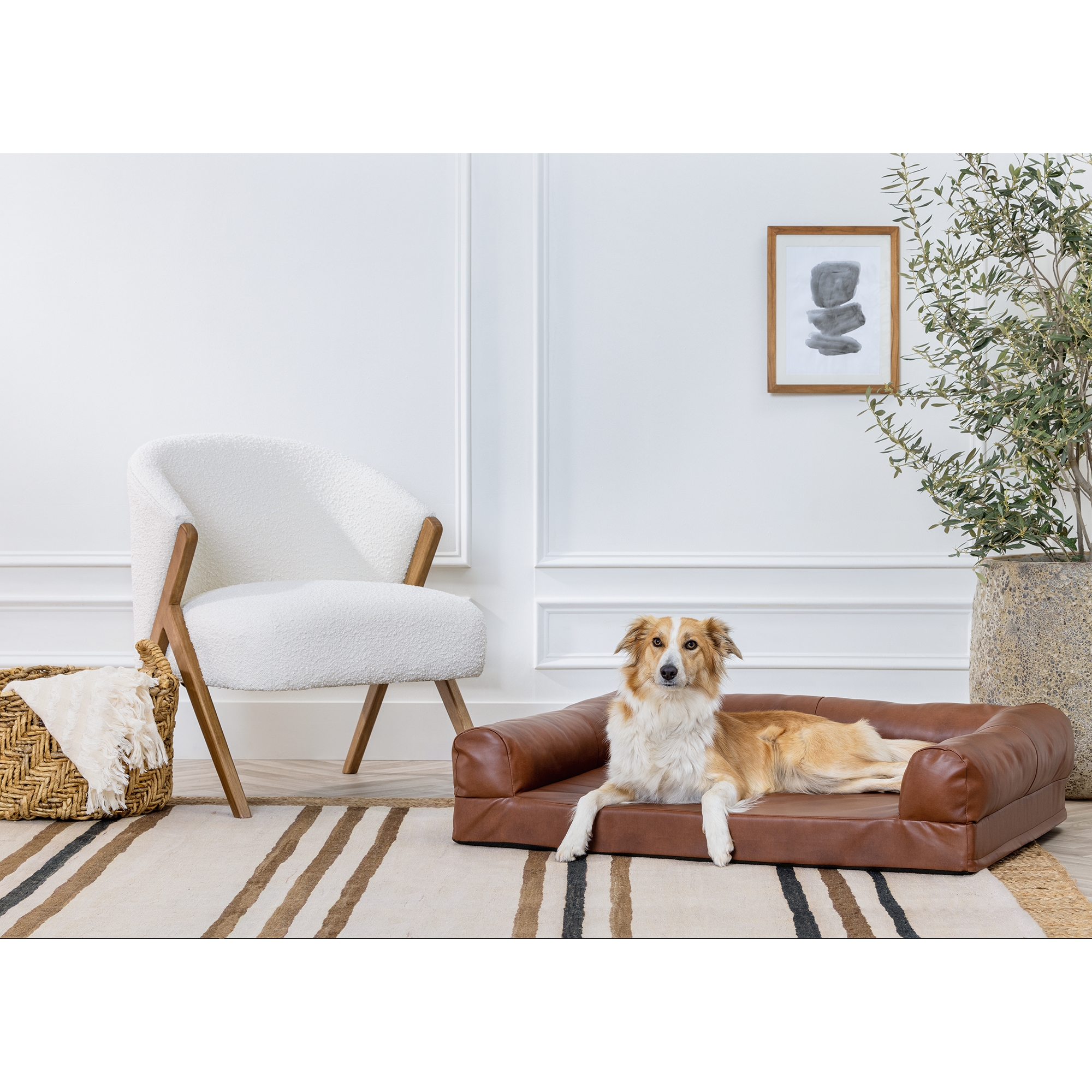 A dog lounging on the Nate Berkus and Jeremiah Brent PetSmart collab dog bed