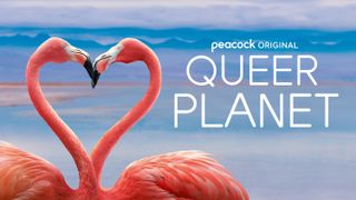 Queer Planet key art featuring flamingos