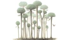 Illustration of Calamophyton trees.