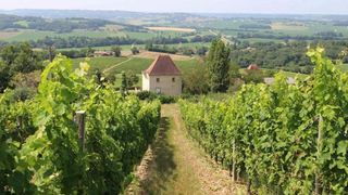 Garlin, Pyrénées-Atlantiques, Aquitaine