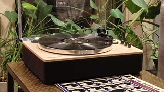 The Majority Folio on a bronze table with plants in the background.
