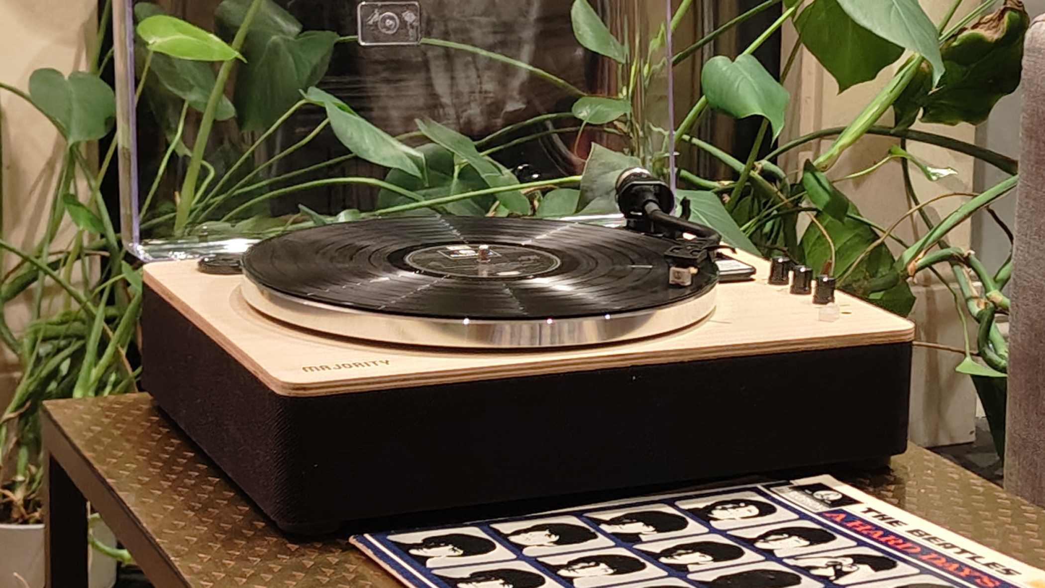 The Majority Folio on a bronze table with plants in the background.
