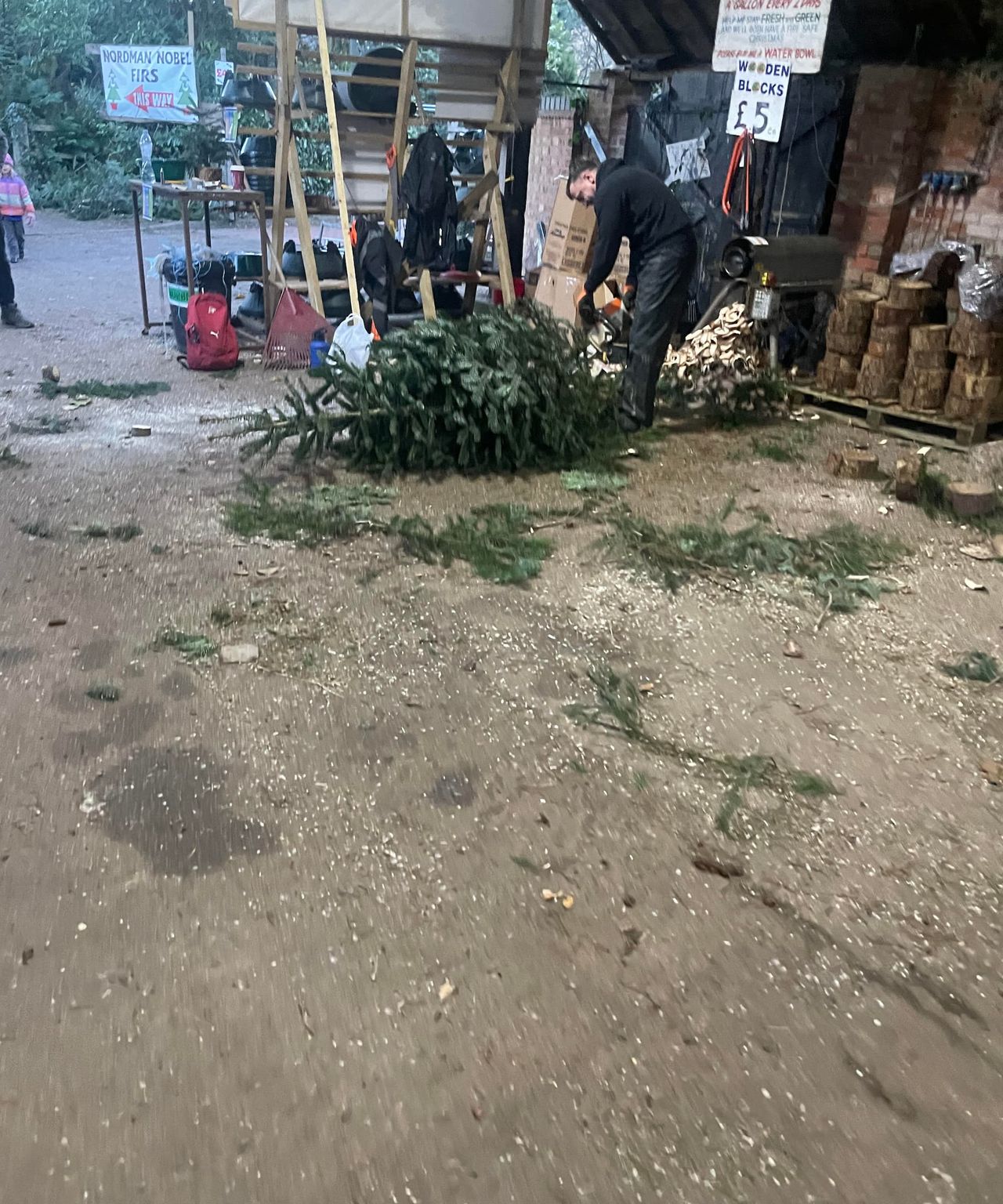 A battery chainsaw cutting the end of a Christmas tree