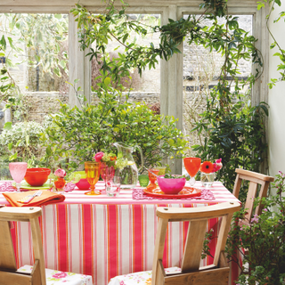 Conservatory, assorted plants and foliage, set table with red striped tablecloth, red and pink tableware and glassware, vintage chapel / church chairs