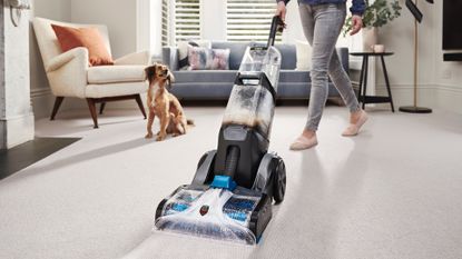 A carpet cleaner rescued me from dog poop on carpet: adorable dog looks on as owner cleans carpet 