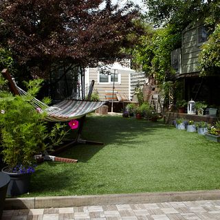 garden with hammock