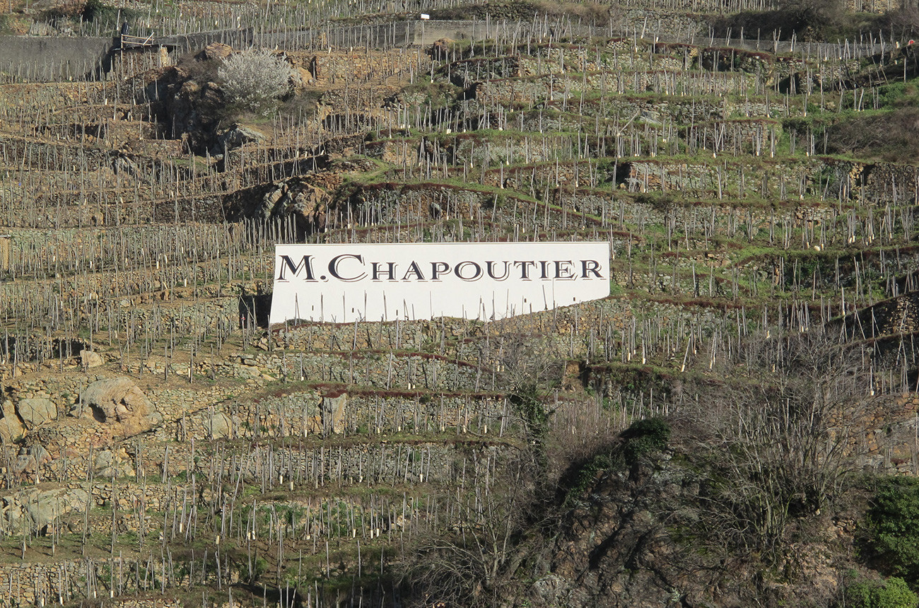 C&amp;ocirc;te-R&amp;ocirc;tie 2019 in bottle