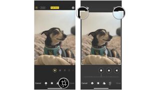 iPhone screenshots showing how to manually crop a photo in Photos on iPhone and iPad by showing steps: Tap the Crop button, then drag the corner handles until you are satisfied with the crop.