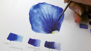 how to paint a petal step images