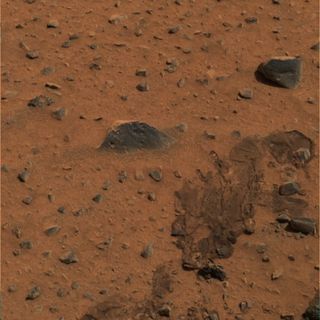 NASA Scientist Sees Possible Mat of Martian Microbes