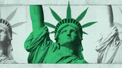 Is New York's Legal Weed Market Leaving Cannabis Farmers Worse Off?