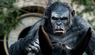 Koba in Dawn of the Planet of the Apes