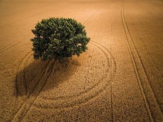 ©Landscape Photographer of the Year awards - David Hopley