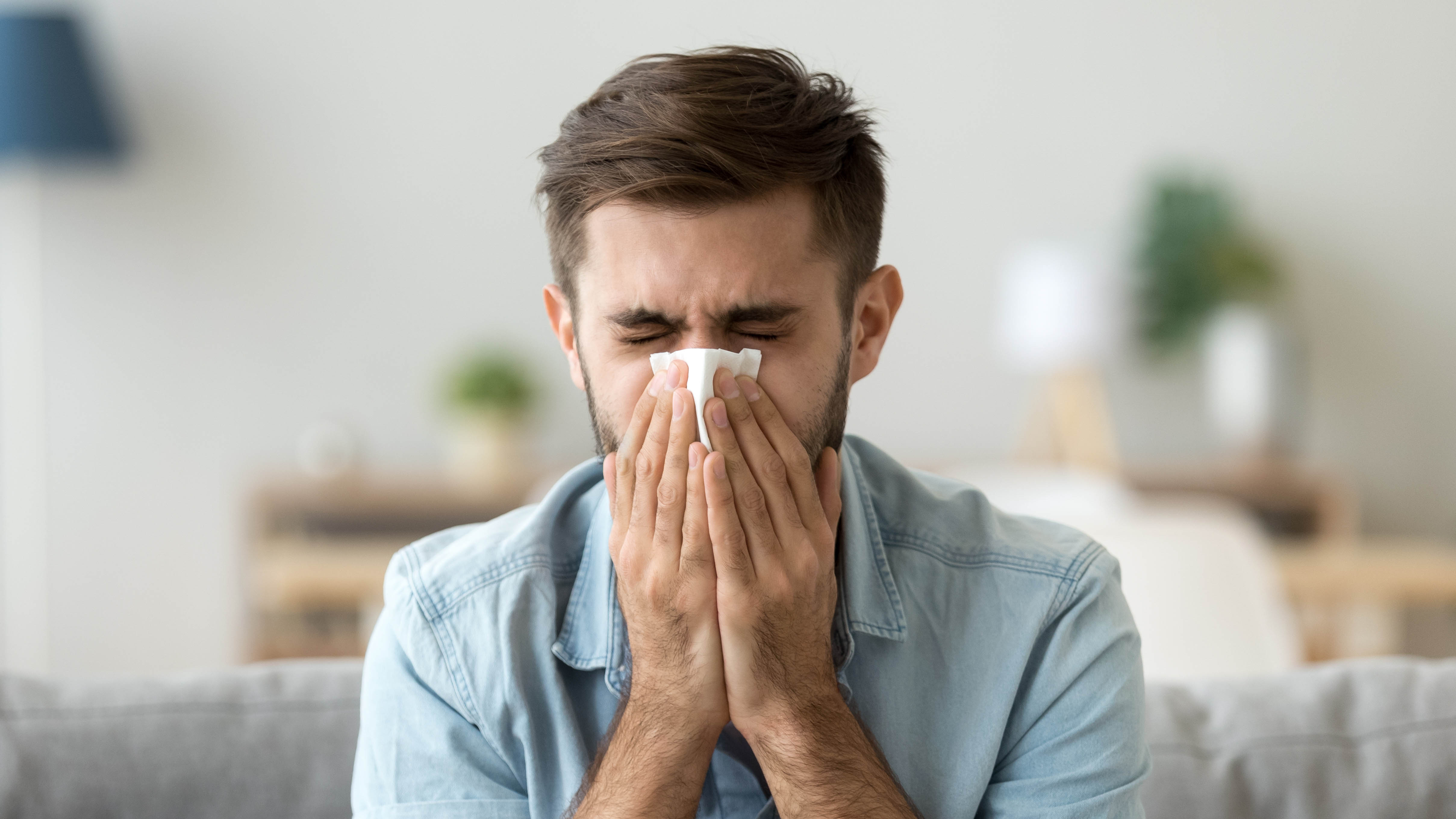 How to banish allergies from your home: Expert tips for a sneeze-free environment