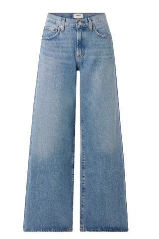 Agolde Clara Baggy Wide-Leg Organic Jeans