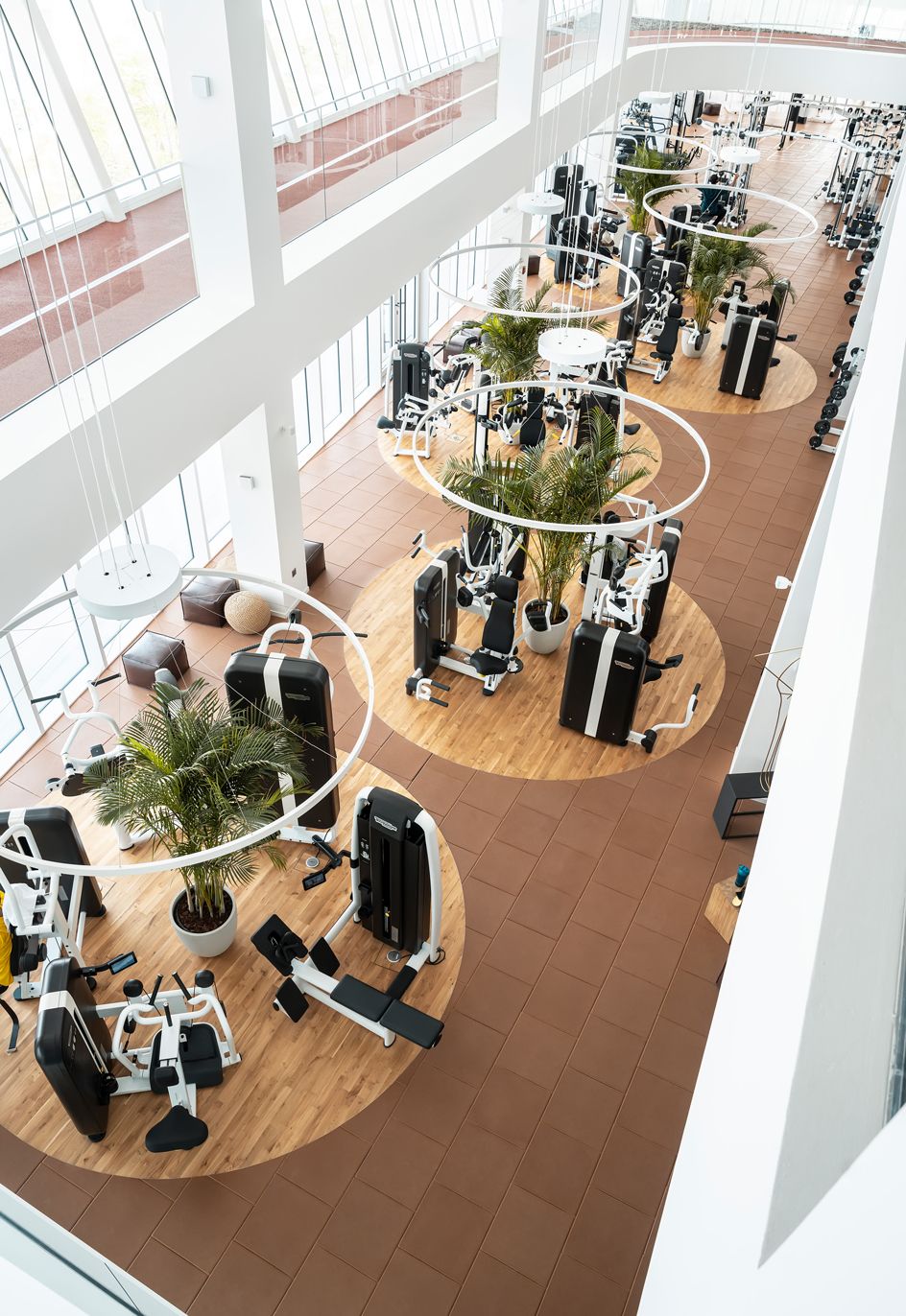 The Bridge Wellness Hub in Abu Dhabi