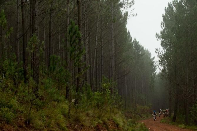 The riders raced through a wet forest on the final day