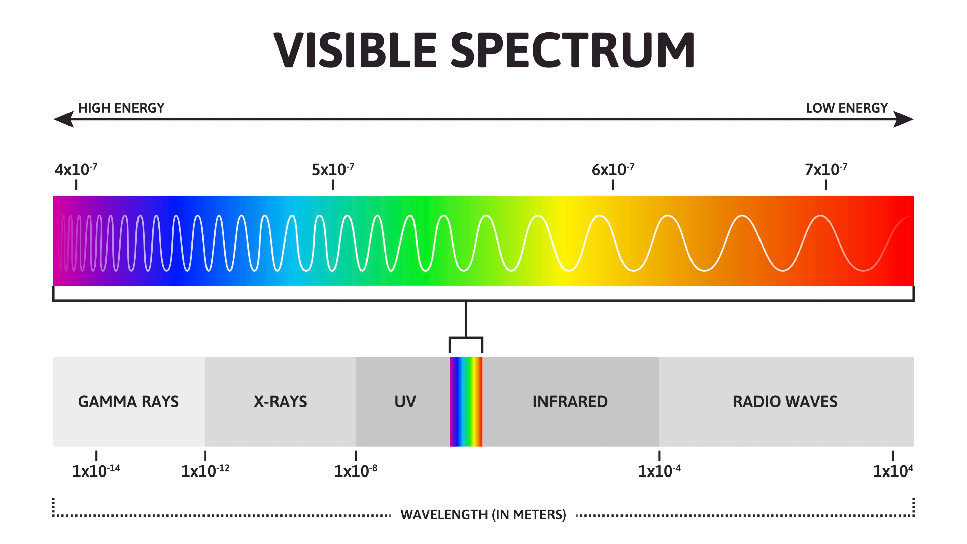 Diagram of the visible color spectrum. From left (high energy) to right (low energy) it goes gamma rays, x-rays, UV, infrared, and then radio waves.