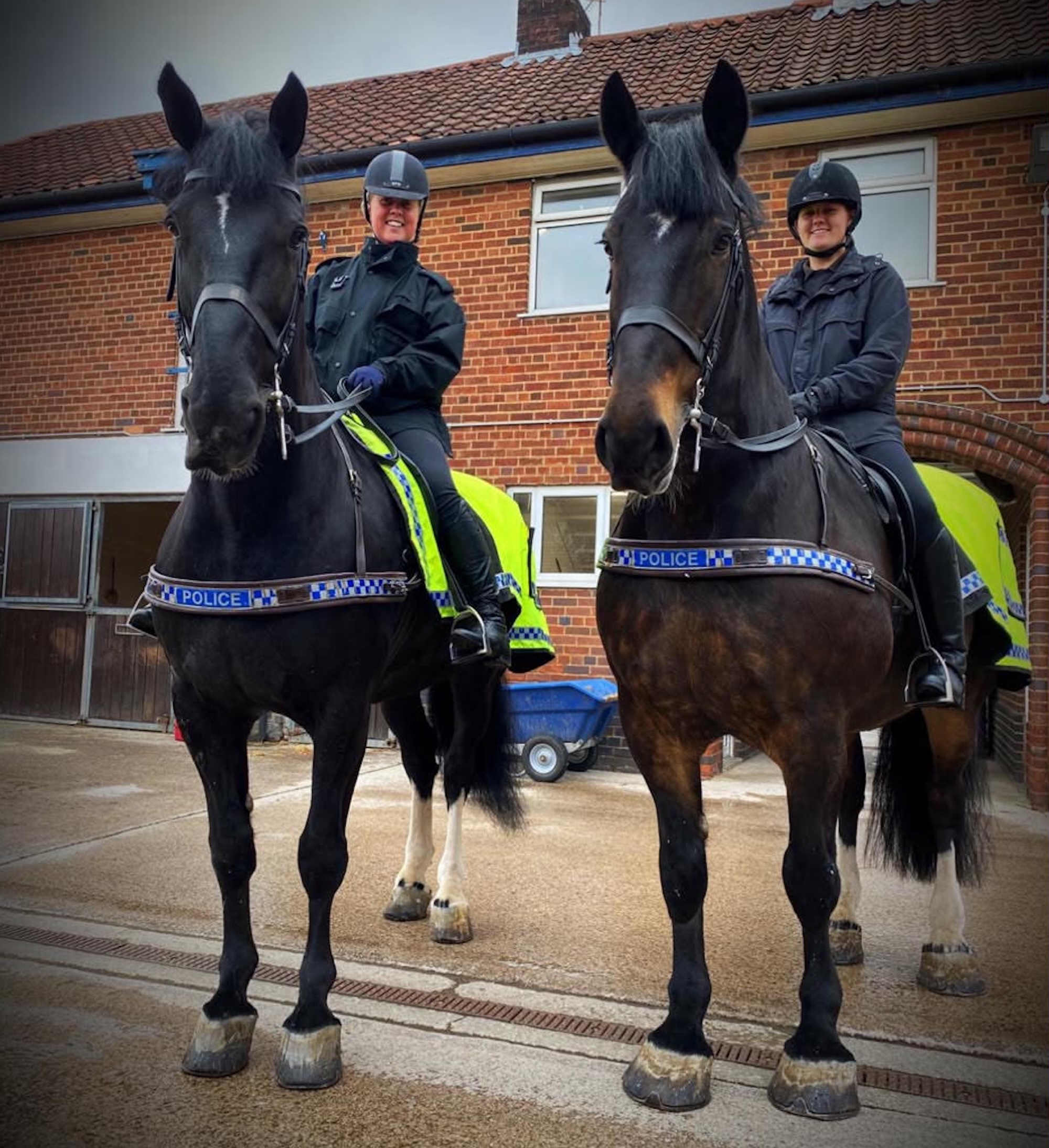 Two police horses on patrol