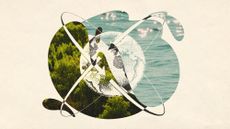 Illustrative collage of arrows running around the Earth, with water and forest in the background in a flowing shape