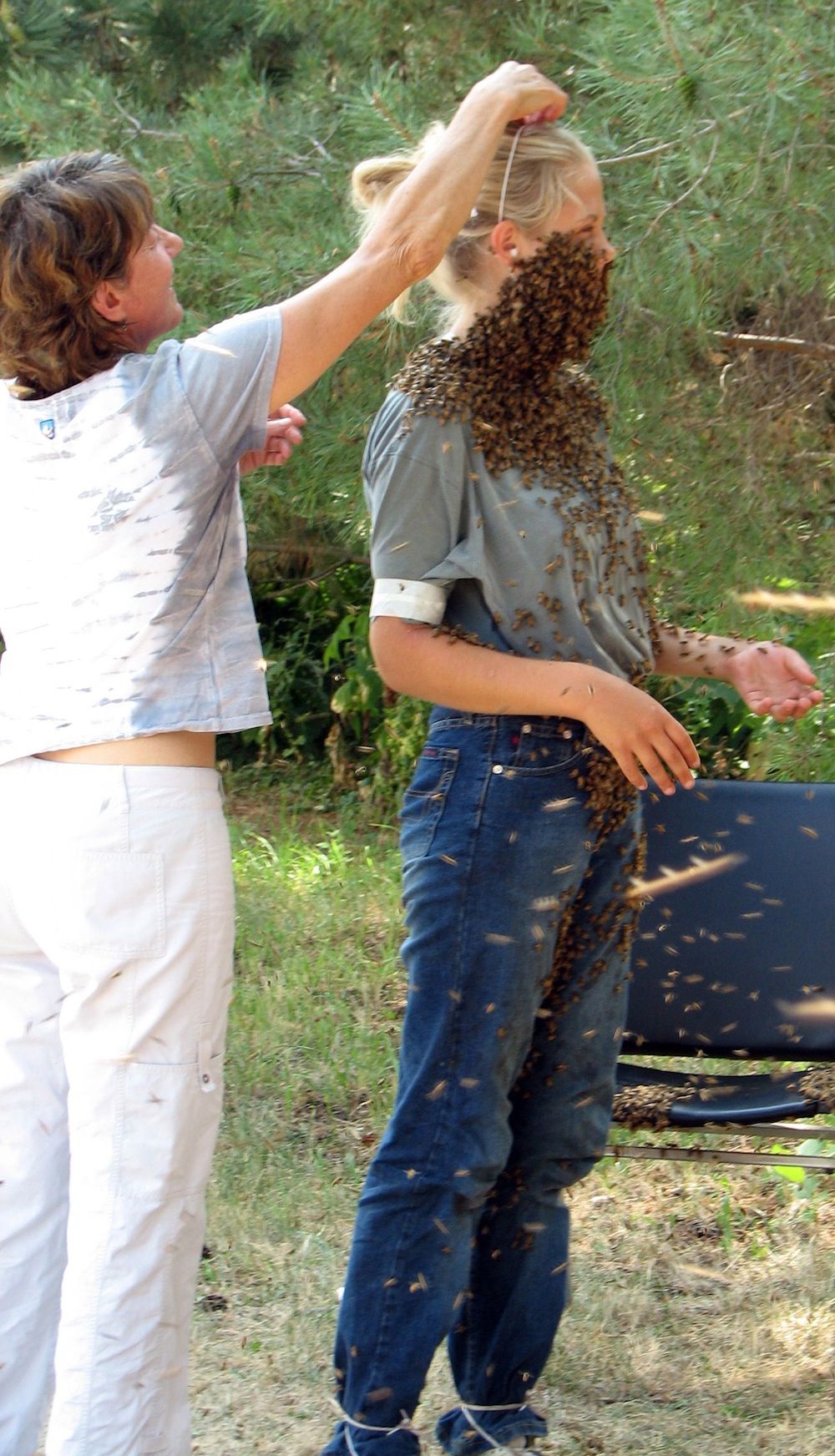 bees, bee keeping, bee beard,