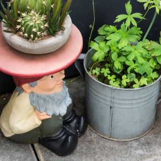 Garden gnome table with plant on top