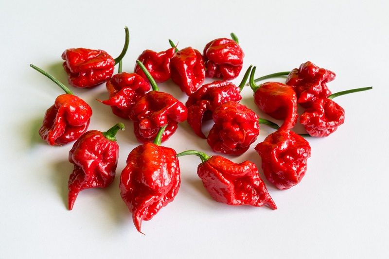 Spiciest peppers in the world