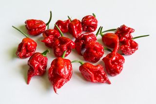 Carolina reaper peppers