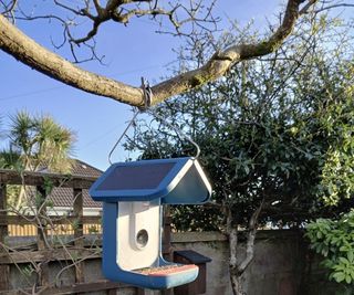 Bird buddy 2.0 hanging in a sunny garden with blue sky beyond