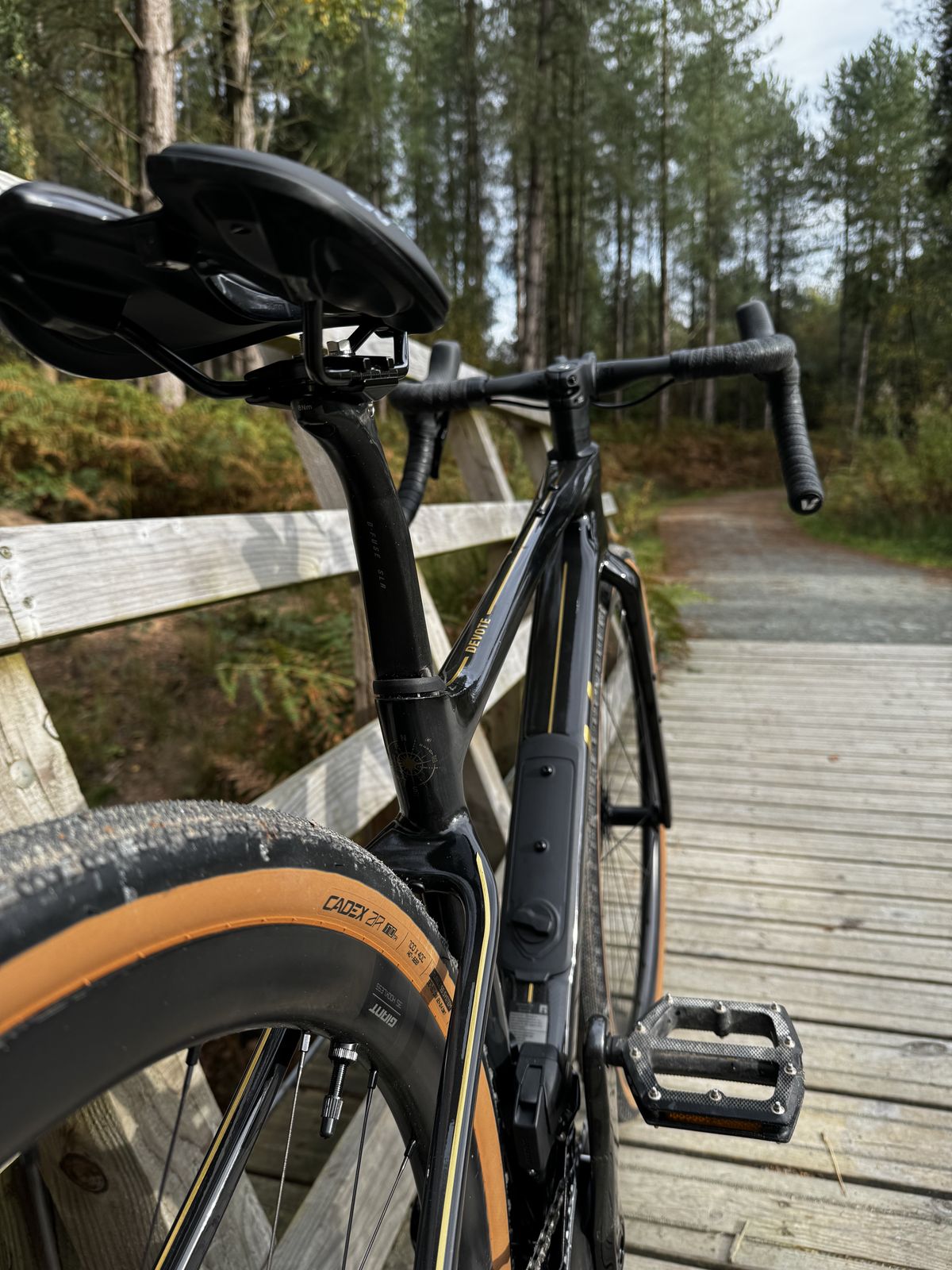 The rear of the Liv Devote, showing a small compass on the seat post etched in gold, the integrated downtube storage and other gold detailing