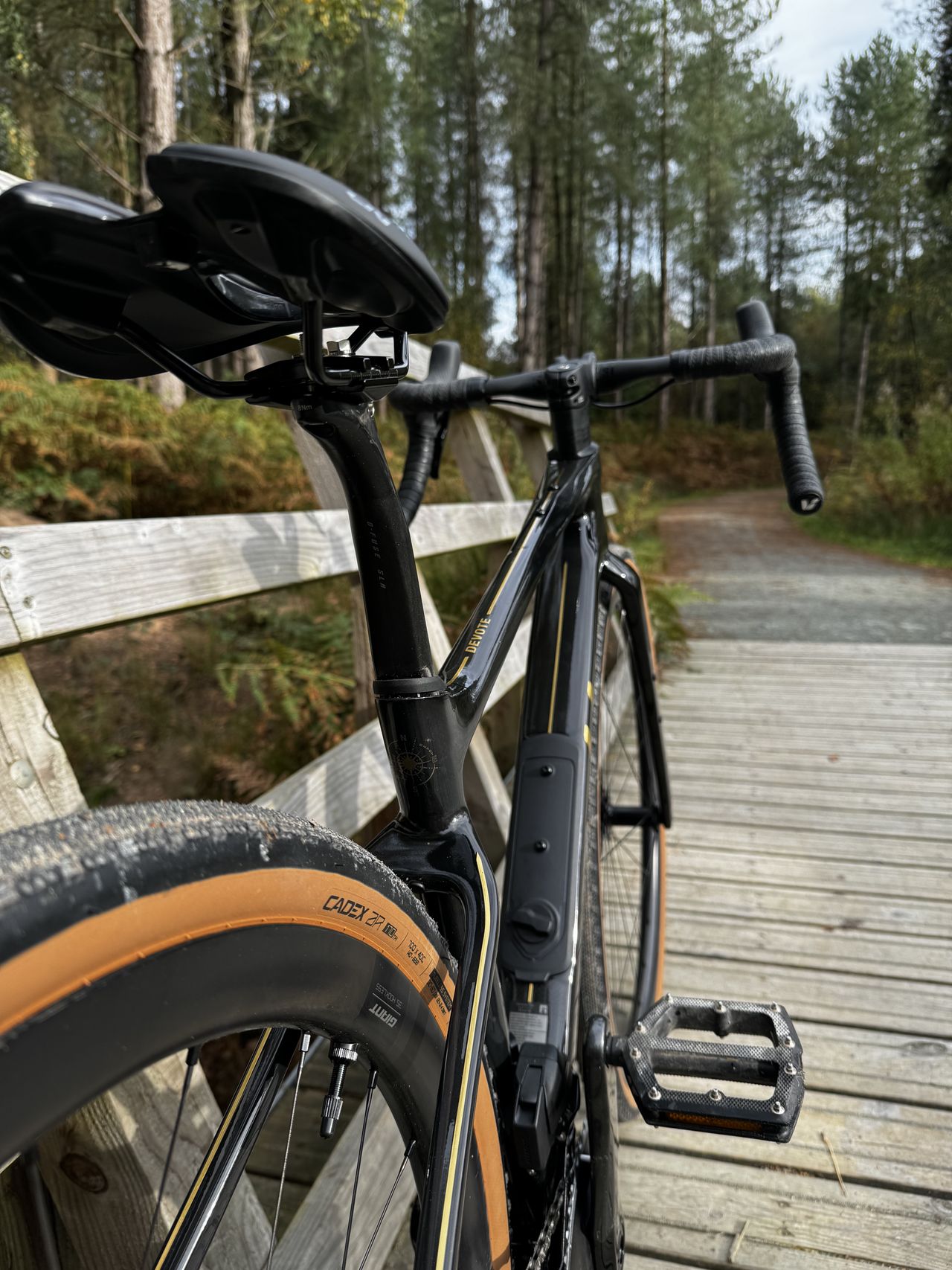 The rear of the Liv Devote, showing a small compass on the seat post etched in gold, the integrated downtube storage and other gold detailing