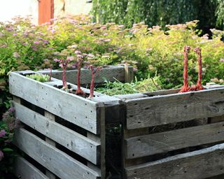 Composting bin made from old wooden pallets