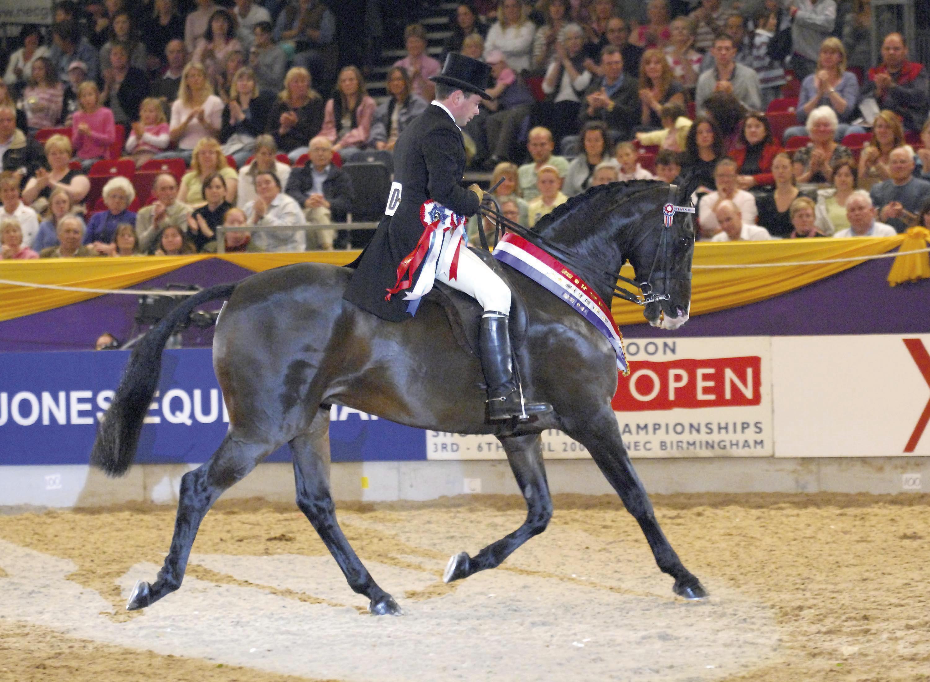2007: Broadstone Doulton with Robert Walker